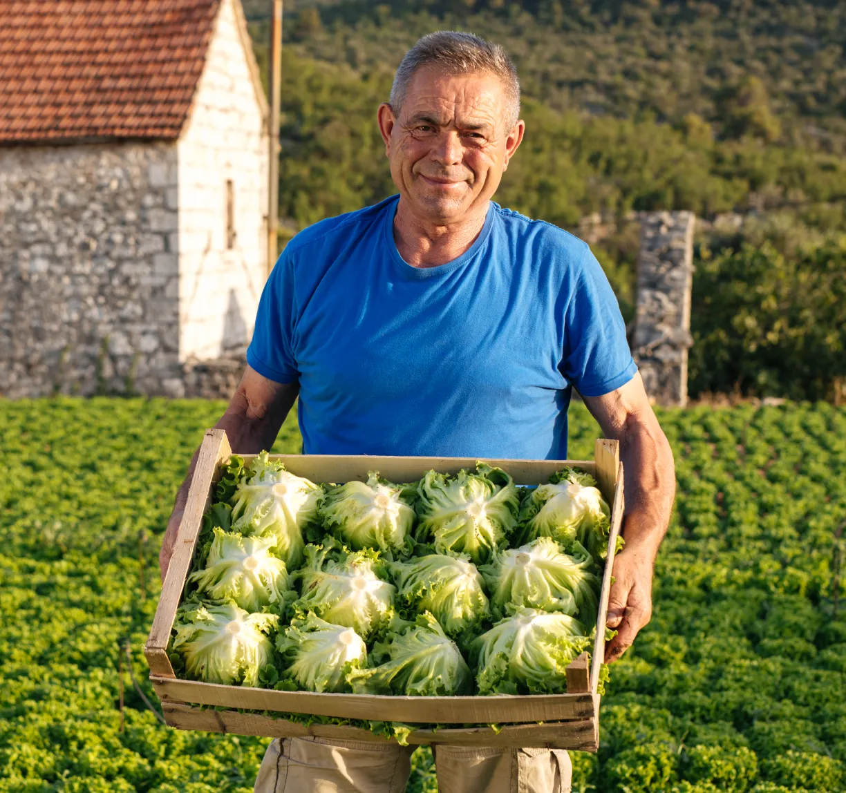 Grgurević